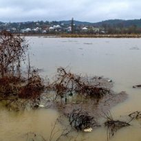 Three dead as devastating floods in western Ukraine continue (Photo, video)