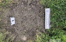 На Волыни мужчина пришел к теще и взорвал в ее дворе гранату (фото)