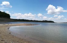 В сети показали последствия экокатастрофы в оккупированном Крыму (фото)