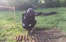В Винницкой области в парке нашли более 600 боеприпасов времен Второй мировой войны (фото)