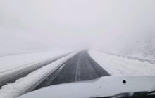 В американском штате Вайоминг неожиданно выпал снег (видео)
