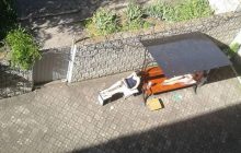 Загорает на солнце: в сети показали, как отбывает свое наказание виновница кровавого ДТП в Харькове Зайцева (фото)