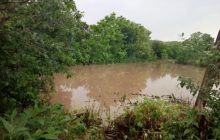 Сильный дождь затопил село в Винницкой области
