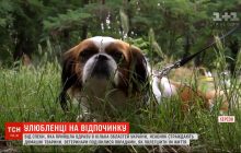 Тварини на відпочинку: як захистити домашніх улюбленців від теплового удару (відео)