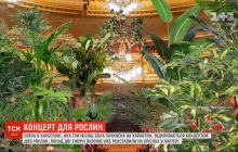 Опера Барселоны после карантина открывается концертом для растений (видео)