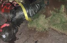 Деамериканизация: в США повалили памятник Вашингтону (видео)