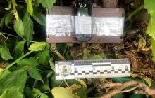 Экс-военный планировал взорвать госпиталь и железнодорожные пути (фото)