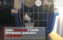 Потерпевших от взрыва на Позняках поселили в интернате: опубликовано видео