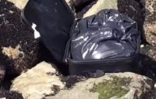 В американском Сиэтле тиктокер нашел "загадочный" чемодан, в котором оказался труп (видео)