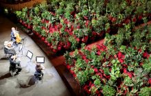 Концерт для растений: барселонская опера открылась после трех месяцев карантина (видео)