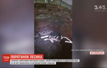 Так і не дочекався підмоги: чоловік самостійно дістав песика з відкритого люка (відео)