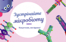 Корисні бактерії: чим важлива мікробіота в організмі людини