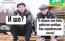 "От сосны мне оторви иголочку": соцсети смеются над непристойным диалогом Арахамии с Корниенко