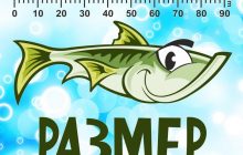 День рыбака 2021: креативные открытки и теплые поздравления в стихах