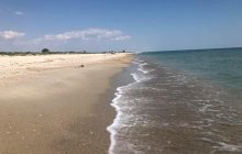 Керівництво заповідника «Тузлівські лимани» побили зловмисники під час інспектування території (фото)