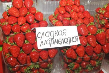 Ціни на популярну ягоду в Україні нарешті пішли вниз: скільки коштує кілограм