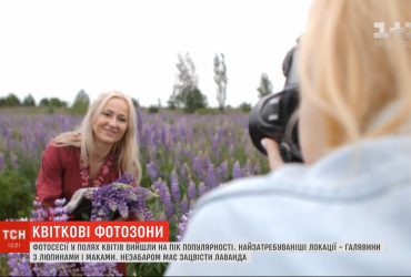 Фотосесії у полях квітів вийшли на пік популярності в Україні