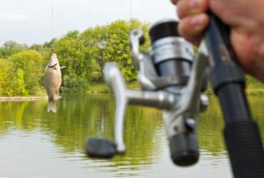 День рыбака 2023: яркие открытки и поздравления