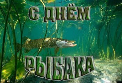 СТИХИ ПРО РЫБАЛКУ прикольные, короткие и длинные 🎣 спа-гармония.рф