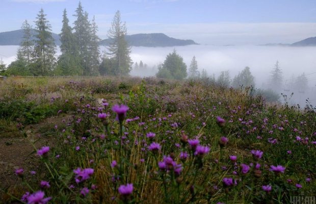 В проекте госбюджета на 2021 год предусмотрено 209,5 миллионов гривень на развитие туризма