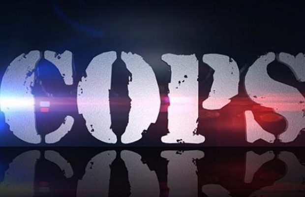 В США на фоне протестов сняли с показа сериал с 30-летней историей