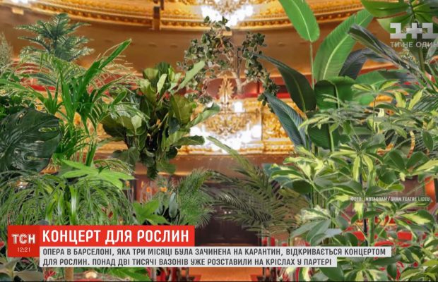 Опера Барселоны после карантина открывается концертом для растений (видео)