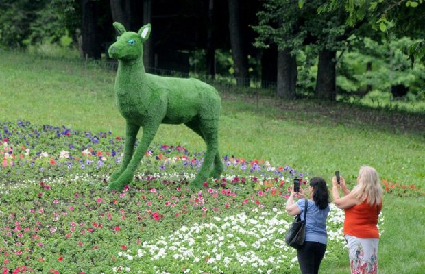 Цветочное сафари: на Певческом поле открылась первая после карантинного перерыва выставка цветов (фоторепортаж)