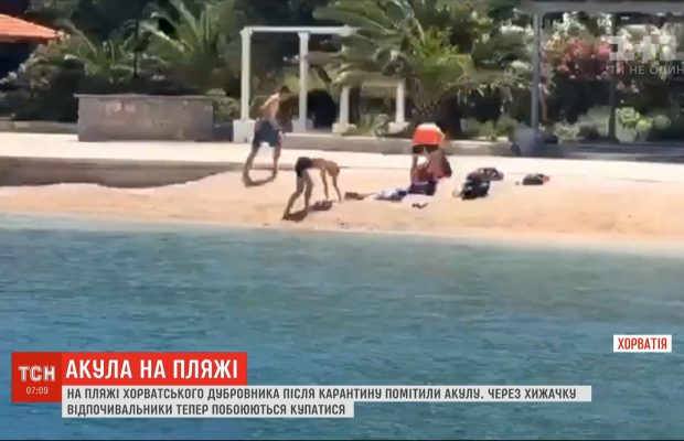 Зубастая и опасная: на хорватское побережье приплыла акула и напугала отдыхающих (видео)