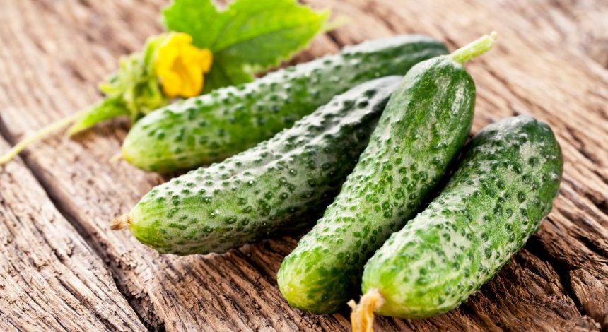 Хрустящие огурцы с кетчупом: рецепт вкусной заготовки на зиму