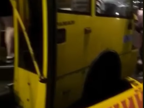 В маршрутке пострадал котенок / скриншот видео В маршрутке пострадал котенок / скриншот видео
