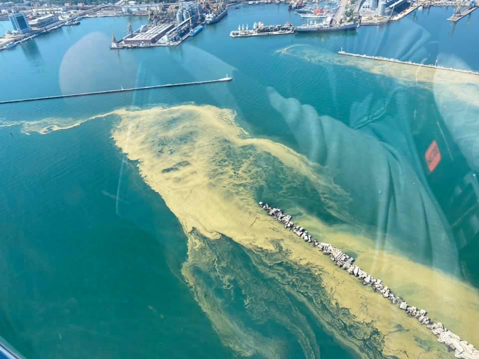 До берега прибилось багато водоростей, які під впливом високої температури повітря почали розкладатися / Viknianskiy Nikolay, Facebook До берега прибилось багато водоростей, які під впливом високої температури повітря почали розкладатися / Viknianskiy Nikolay, Facebook