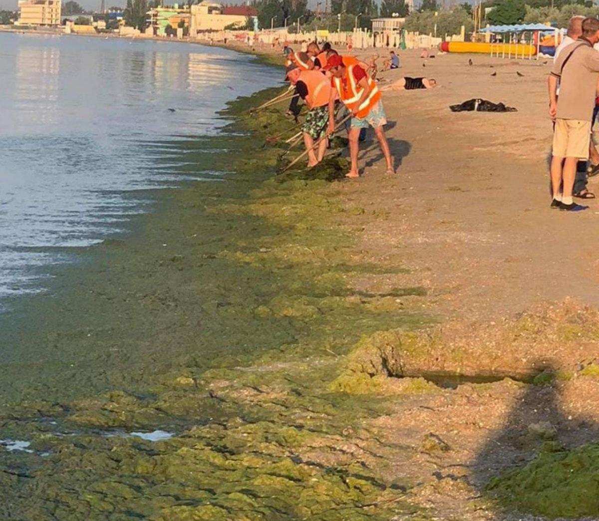 В Одессе с пляжа «Лузановка» коммунальщики убрали более 30 кубометров водорослей (фото) В Одессе с пляжа «Лузановка» коммунальщики убрали более 30 кубометров водорослей (фото)