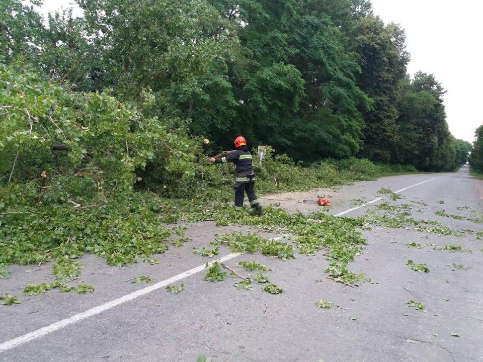 На Винничине мощный ветер повалил деревья / ГСЧС На Винничине мощный ветер повалил деревья / ГСЧС
