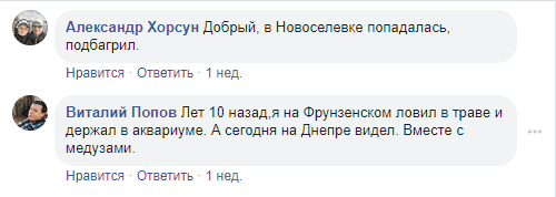 Коментарі під дописом / Фото скріншот Коментарі під дописом / Фото скріншот