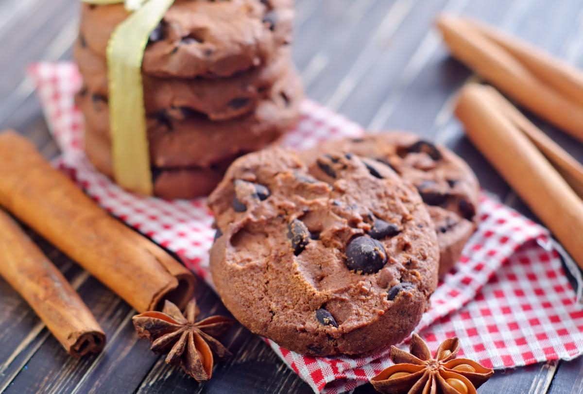 Мягкое шоколадное печенье с какао — рецепт с фото пошагово