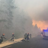 В ОГА назвали вероятную причину масштабных лесных пожаров в Луганской области