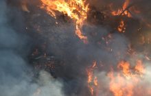 Україну накриє надзвичайна пожежна небезпека: під загрозою майже вся країна (карта)