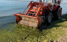 В Одессе с пляжа «Лузановка» коммунальщики убрали более 30 кубометров водорослей (фото)