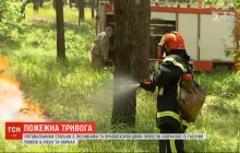 Для боротьби з шашличниками: рятувальники на околицях Києва відпрацювали гасіння пожеж у парках і лісах (відео)