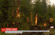 Дым от сибирских лесных пожаров приближается к Северному полюсу (видео)