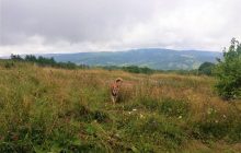 Не «Нафтусей» единой: полезные пешие походы против скуки на курортах Львовщины