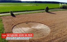 В Угорщині посеред пшеничного поля з'явилося загадкове коло: люди звинувачують прибульців або привидів (відео)
