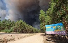 "Вогонь поширюється за секунди": керівник Луганщини розповів, що бачив в епіцентрі лісової пожежі
