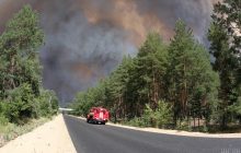 Пожежі на Луганщині: у Держлісагентстві оцінили збитки