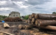 Після повеней на Івано-Франківщині провели масові обшуки у лісгоспах (фото)