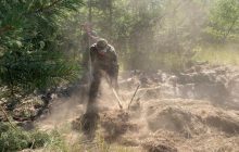 На Луганщині до гасіння масштабної лісової пожежі долучили прикордонників ООС