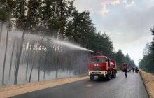 Из-за обстрелов боевиков на Луганщине загорелся молодой лес