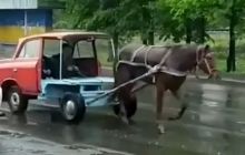 Кінь тягне половину "москвича": на Рівненщини помітили на вулицях незвичайний "транспорт" (відео)