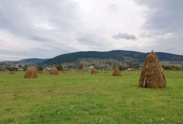 17 сентября: народный праздник и обычаи, что нельзя делать сегодня