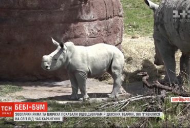 Зоопарки Рима та Цюриха показали відвідувачам рідкісних тварин, які народилися під час карантину